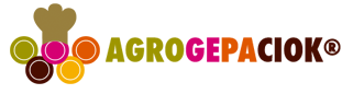 logo2026